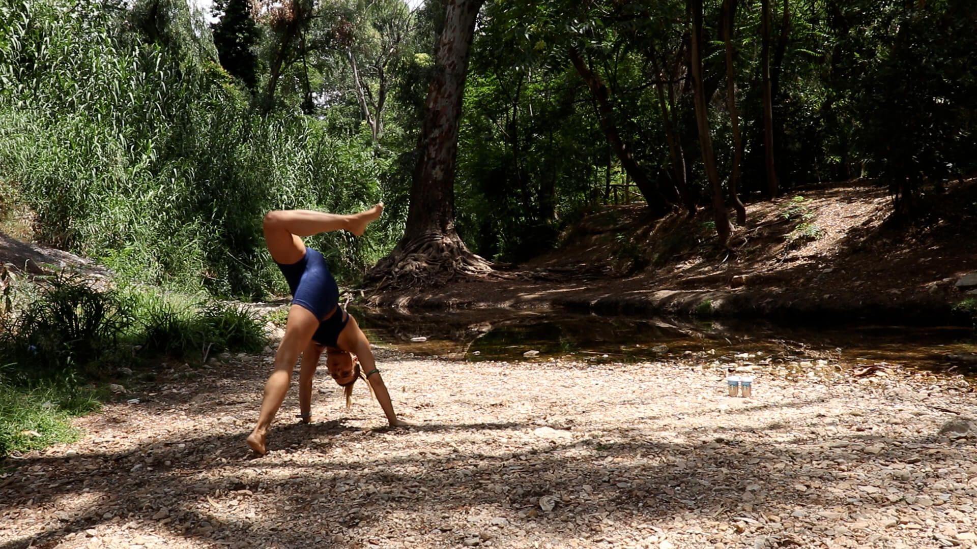 Animal 1 outdoor